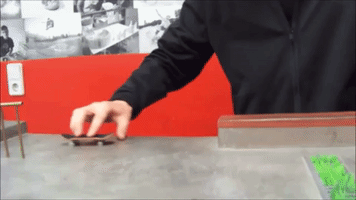 PASCH-net skating GIF