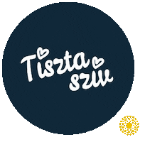 Fesztival Sticker by Csillagpont