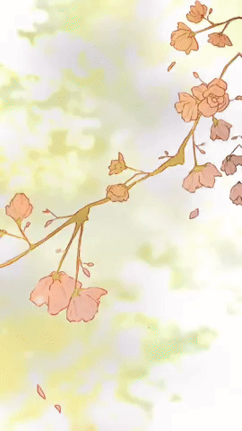 Kaovadraws GIF
