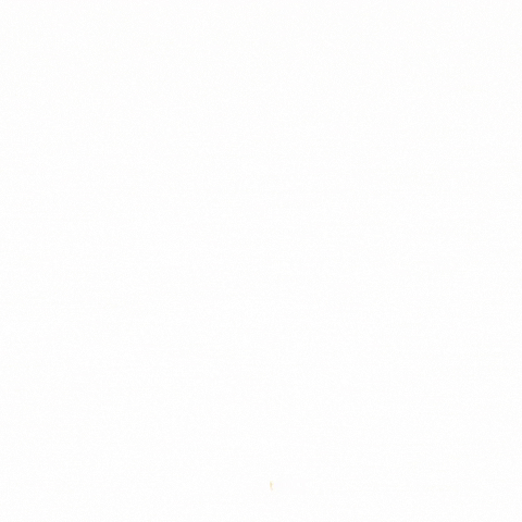 Notre Dame Law School GIF