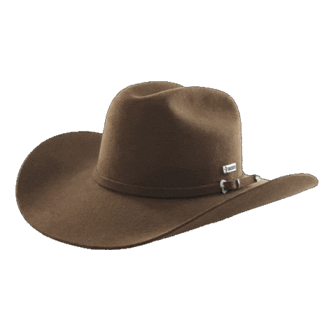 Hat Cowboy Sticker by Sacudidos