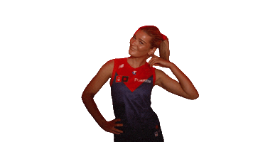 Melbourne Demons Hair Sticker by Melbournefc