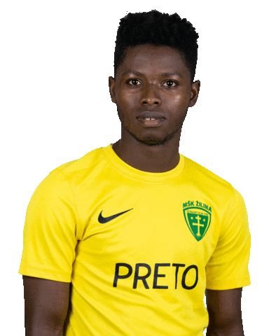 MŠK Žilina Sticker