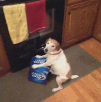 giphy.gif?cid=790b76115d32b7fa5042556359