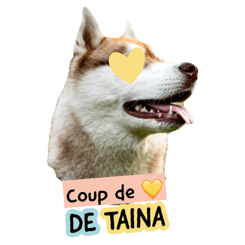 Pawsitivepetambassadeur Sticker by Pawsitive pet