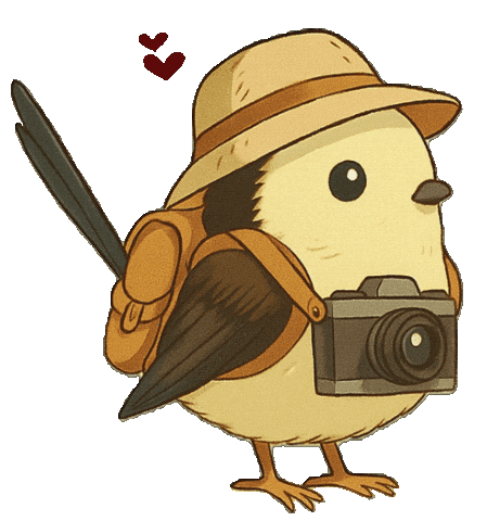 Bird Vogel Sticker by mahoniemoni