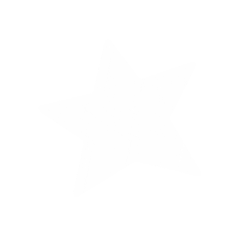 Ster Sterretje Sticker by Zomerfeest Gorinchem