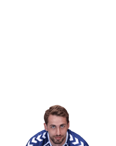 VfL Lübeck-Schwartau Sticker