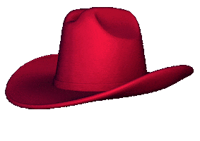 Country Music 3D Sticker