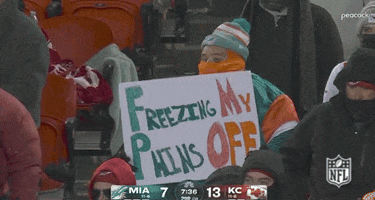 Freezing Miami Dolphins GIF by NFL