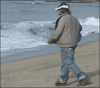 giphy.gif