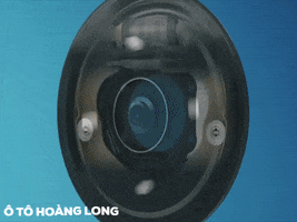 Otohoanglong GIF