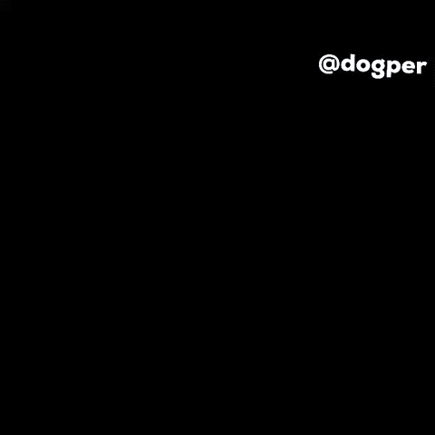 Dogper GIF