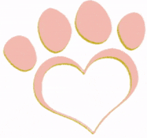 The Pawfect Match GIF