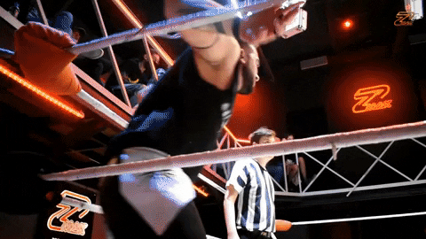 Ninja GIF