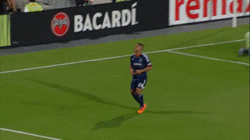 Chicago Fire Goal Celebration GIF by Perfect Soccer
