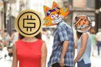 Funny Gif Crypto Meme GIF by FSL Ecosystem