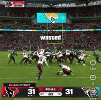 Nfl Mascot GIF
