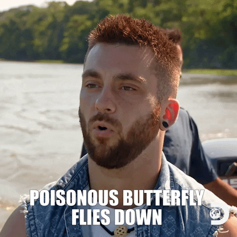 Naked And Afraid Butterfly GIF by Discovery