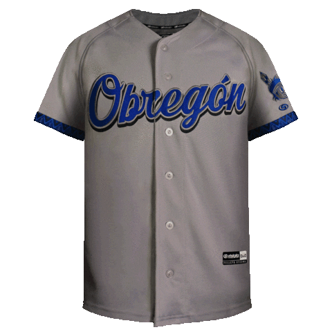 Sport Fashion Sticker by Yaquis de Obregón