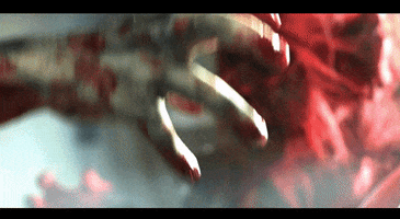 GIF by Rock On Go Wild