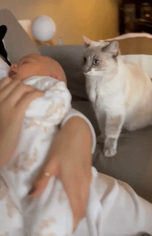 Video gif. Curious-looking cat holds up a paw to gently pet the head of a sleeping baby being held in their mother's arms. 