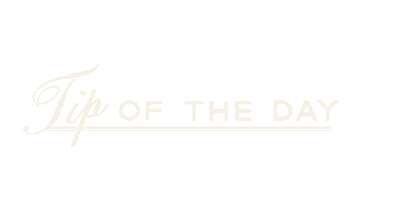 Howdy Studio Sticker