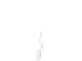 Paye Music Sticker