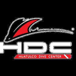 Scuba Diving GIF by HuatulcoDiveCenter