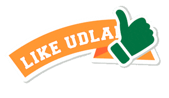 Football Orange Sticker by UDLAP