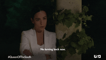 Queen Of The South Television GIF by USA Network
