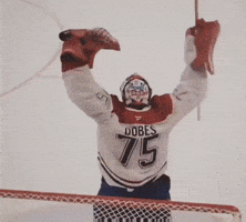 GIF by Habs et LNH