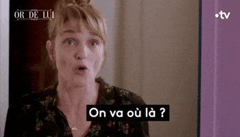 Whats The Plan Wtf GIF by France tv