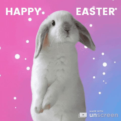 Easter Bunny Love GIF by Unscreen