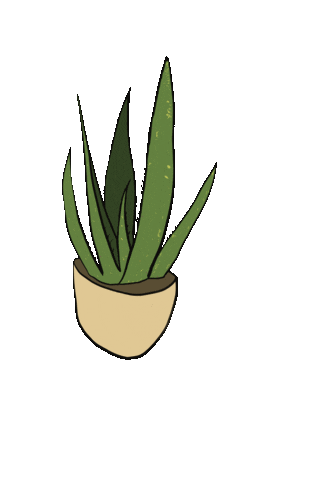 Animated Sticker