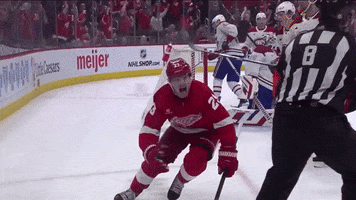 Happy Red Wings GIF by Bally Sports Detroit