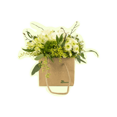 San Valentino Love Sticker by Barbazza Garden