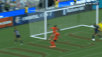 Save Womens Soccer GIF by National Women's Soccer League