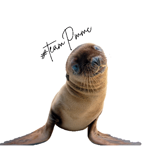 Pacificmmc Sticker