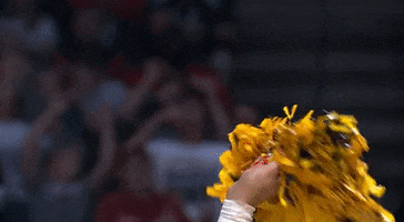 West Virginia Sport GIF by NCAA March Madness