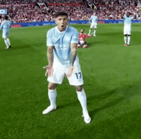 Manchester City Football GIF