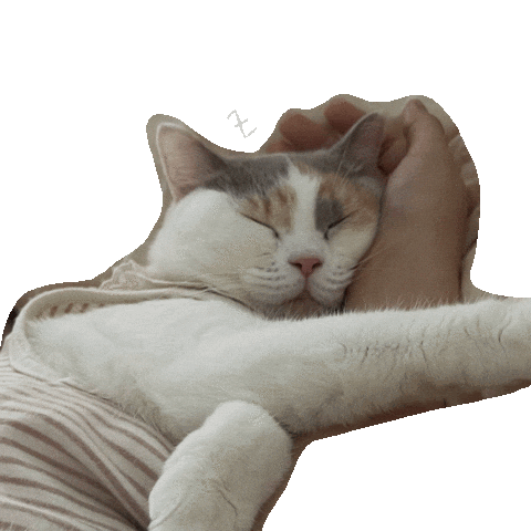 Cat Sticker
