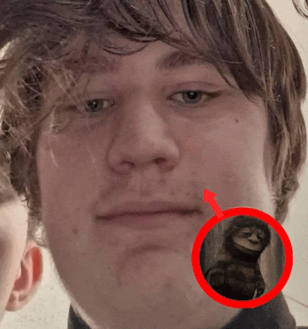 Depressed Bruins Fan GIF