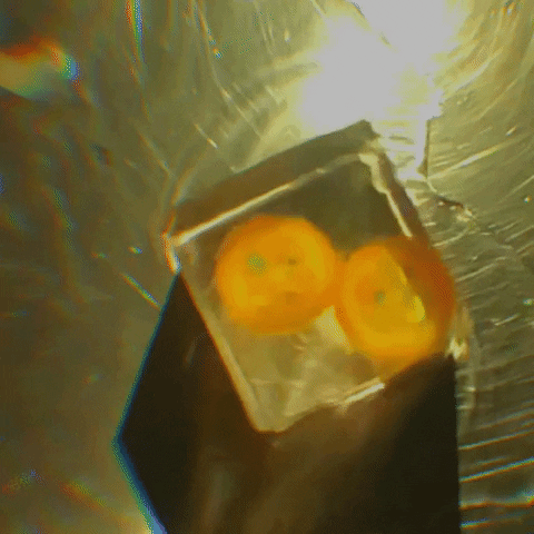 TheNiceCompany spin tnc clear ice GIF