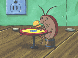 Cockroach Eating GIF by SpongeBob SquarePants
