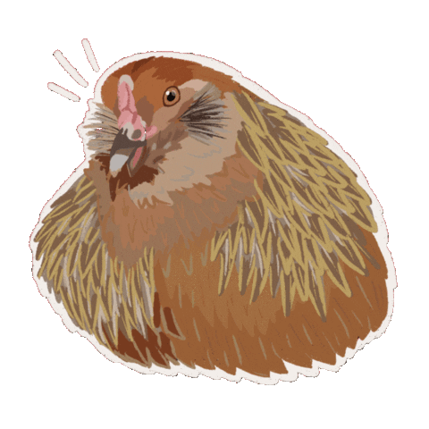 Squishyscrossing Sticker