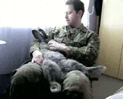 GIF by Cheezburger