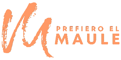 prefieroelmaule Sticker