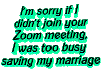 Im Sorry If I Didnt Join Your Zoom Meeting I Was Too Busy Saving My Marriage Sticker By Animatedtext For Ios Android Giphy