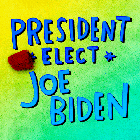Joe Biden Election GIF by Sarah The Palmer